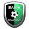 TJ Baník Kalinovo team logo 