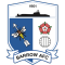 Barrow AFC team logo 