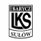 Barycz Sulow team logo 