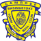 Basingstoke Town team logo 