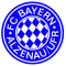 Bayern Alzenau team logo 