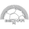 Bechar Djedid team logo 