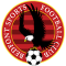 Bedfont Sports FC team logo 