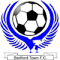 Bedford Town team logo 