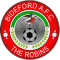 Bideford AFC team logo 