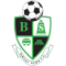 Birtley Town team logo 