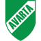 BK Avarta team logo 