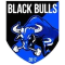 Black Bulls FC