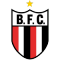 Botafogo team logo 