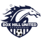 Box Hill United team logo 