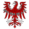 Brandenburger SC 05 team logo 