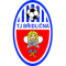 Bridlicna team logo 