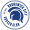 Brunswick City SC team logo 