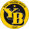 Young Boys team logo 