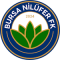 Bursa Nilufer FK team logo 