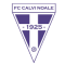 Calvi Noale team logo 