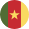 Cameroun team logo 