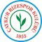 Caykur Rizespor team logo 