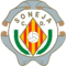 CD Soneja team logo 