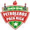 CF Petroleros De Poza Rica team logo 