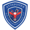 CD Avispones De Chilpancingo AC team logo 