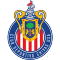Chivas USA team logo 