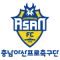 Chungnam Asan FC team logo 