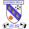 Cleethorpes Town team logo 