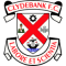 FC Clydebank team logo 