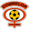 CD Cobreloa Calama team logo 