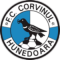 CS Corvinul 1921 Hunedoara team logo 