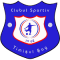 CS Timisul Sag team logo 