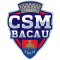 Csm Bacau team logo 