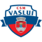 Csm FC Vaslui team logo 