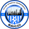 Cso Baicoi team logo 