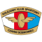 CZARNI SOSNOWIEC team logo 