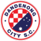 DANDENONG CITY SC team logo 