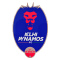 Delhi Dynamos team logo 