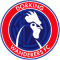 Dorking Wanderers team logo 