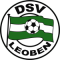 DSV Leoben team logo 
