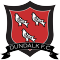 Dundalk team logo 
