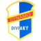 Dynamo Diviaky team logo 