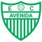 Avenida RS team logo 