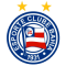 Bahia BA team logo 