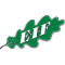 EIF team logo 