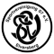SV 07 Elversberg team logo 