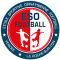 ESOF Vendee La Roche team logo 