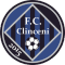 FC Academica Clinceni team logo 