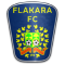 FC Flacara Falesti team logo 