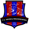 Nassaji Mazandaran FC team logo 